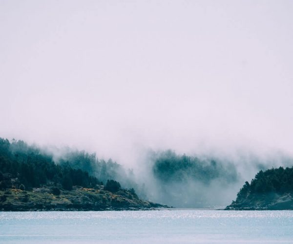 When the Fog Lifts